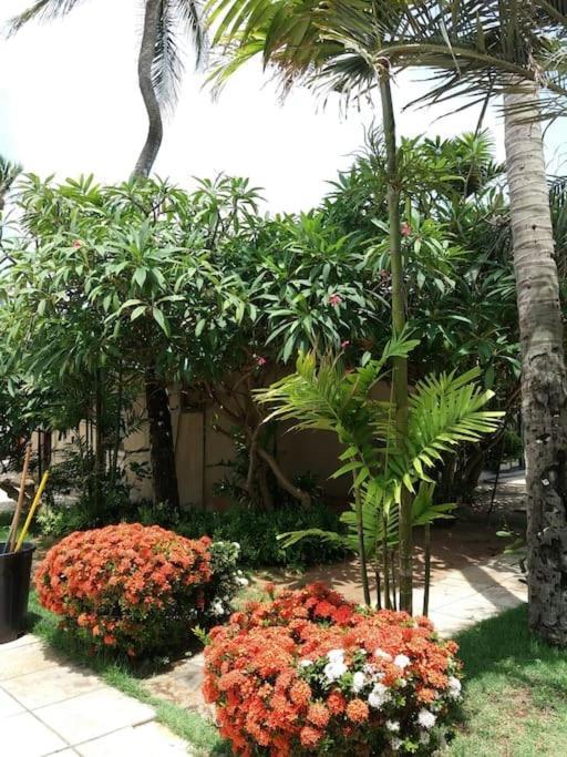 Eco Paradise Cumbuco 131 ภายนอก รูปภาพ